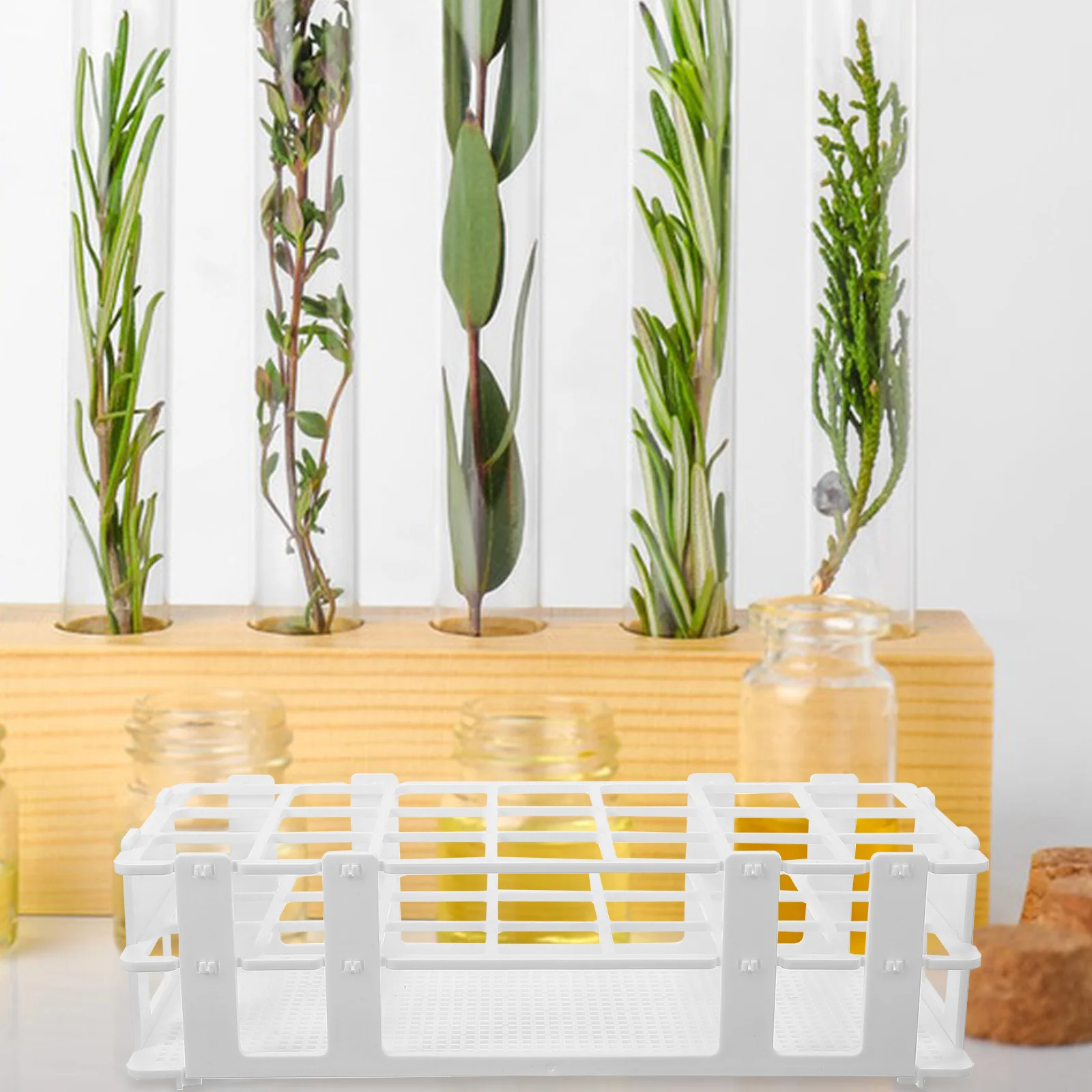 

Plastic Hydroponic Glass Tube Stand Multi-Grid Organizer Rack Durable Display Holder for Plant Tubes Hydroponic Tube Rack