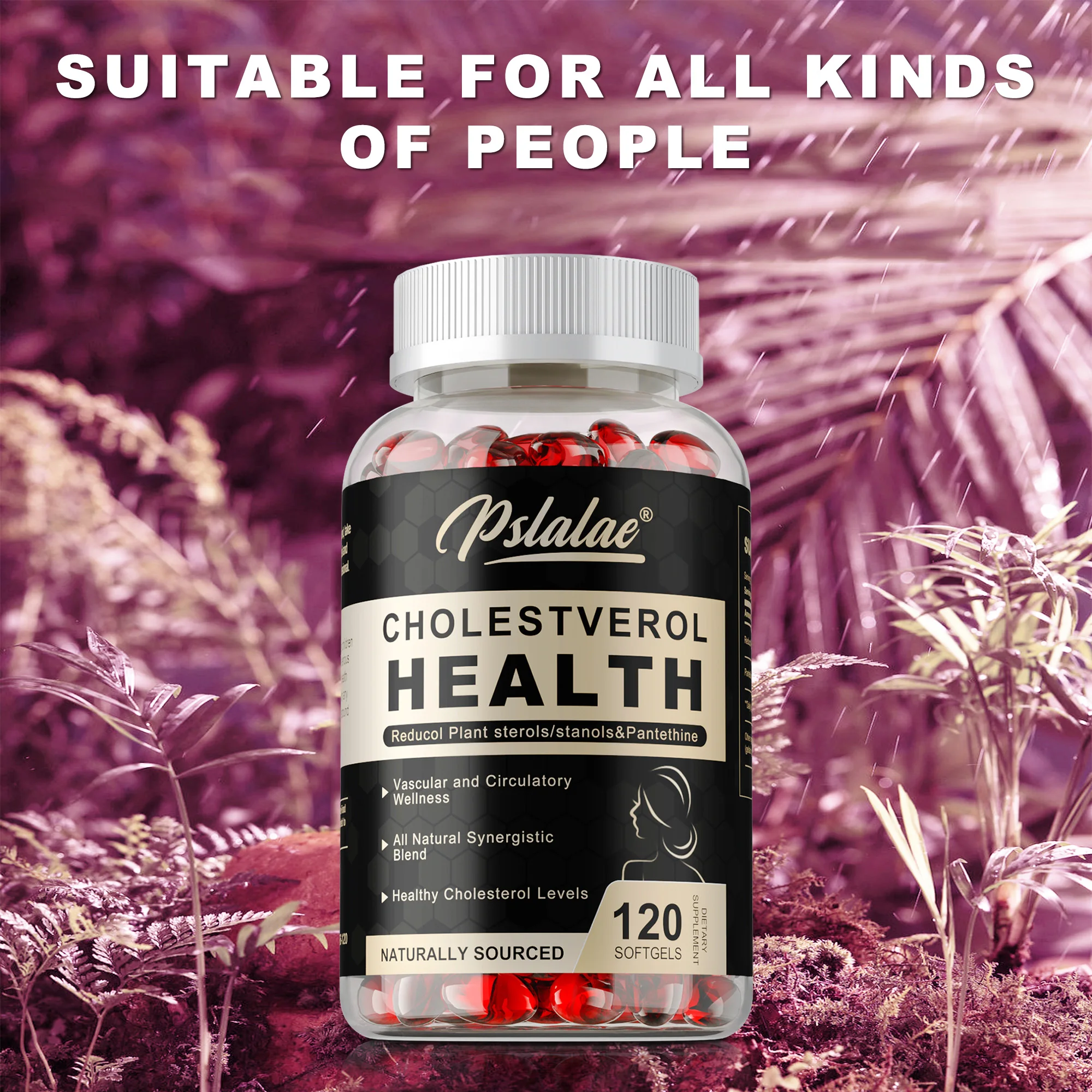 

Cholesterol Health - Antioxidant, Maintains Cholesterol Levels, Supports Vascular, Heart and Adrenal Health, Boosts Metabolism