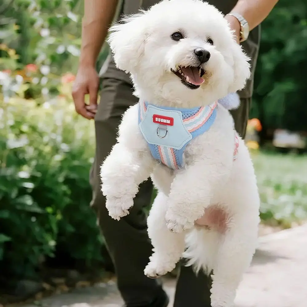 

Escape Proof Dopamine Dog Harness Quicklace Comfortable Pet Walking Vest Adjustable Soft Cat Jacket Harness Outdoor Walking