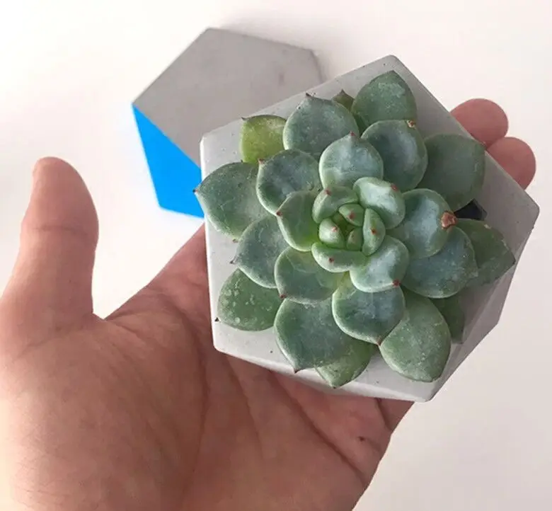 Silicone Concrete Molds Table Decoration Candle Holder Mold Candlestick Plants Pots Molds Multi - Flower Pots Cement Geometric