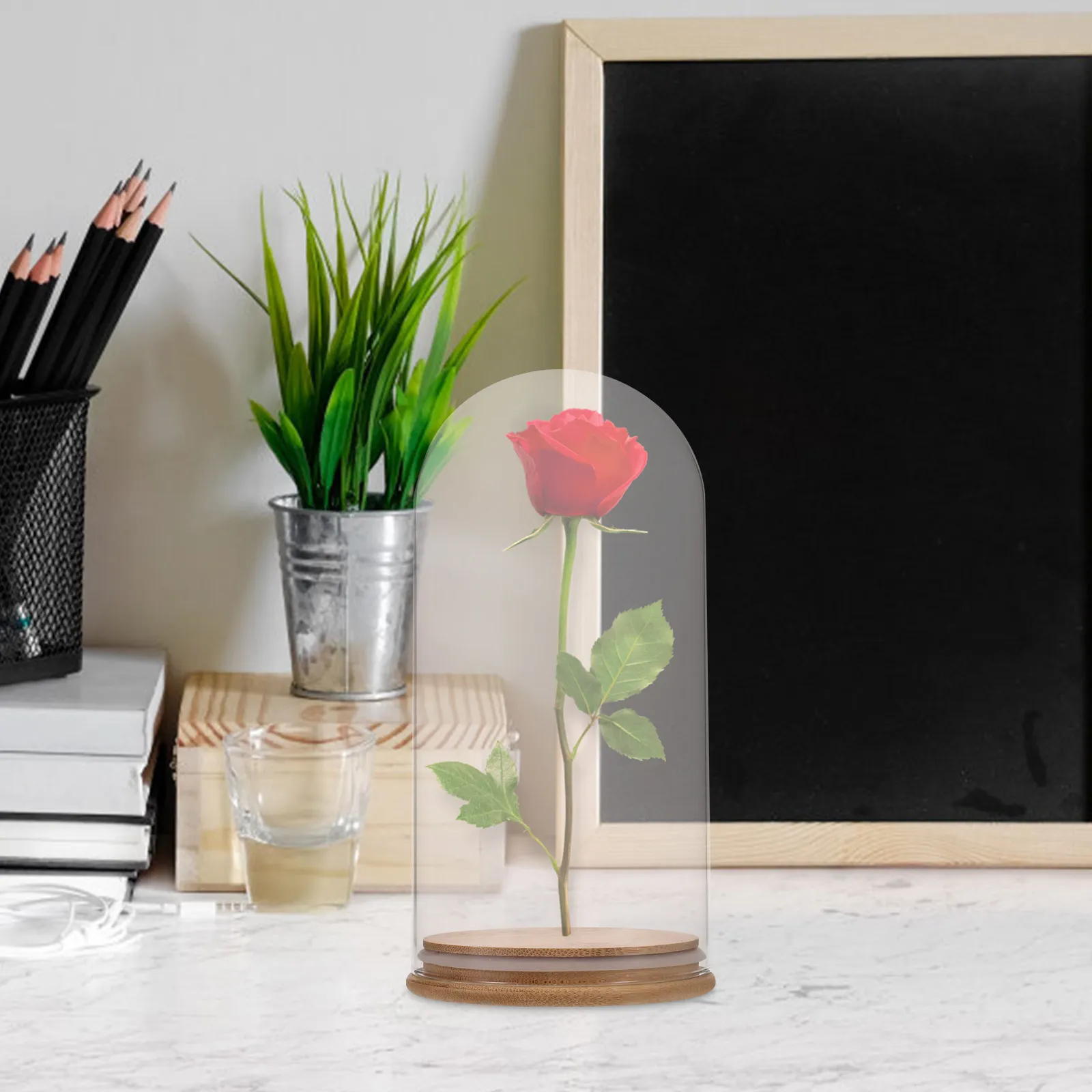 Glass Dome Cloche Transparent Display Globe Clear Glass Dome with Base for Preserved Flowers DIY Figurines Home Decor Decorative