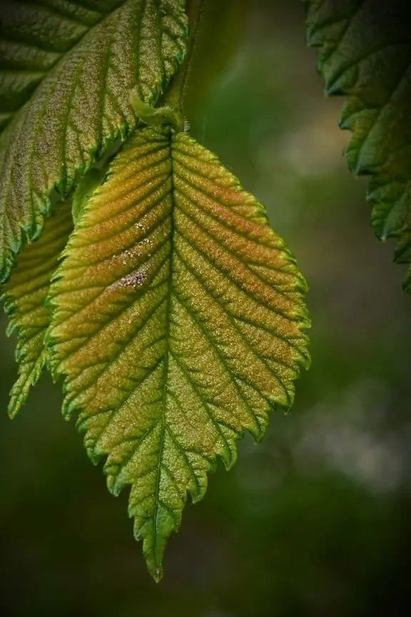 Jx PS-1109HB 9.45G …