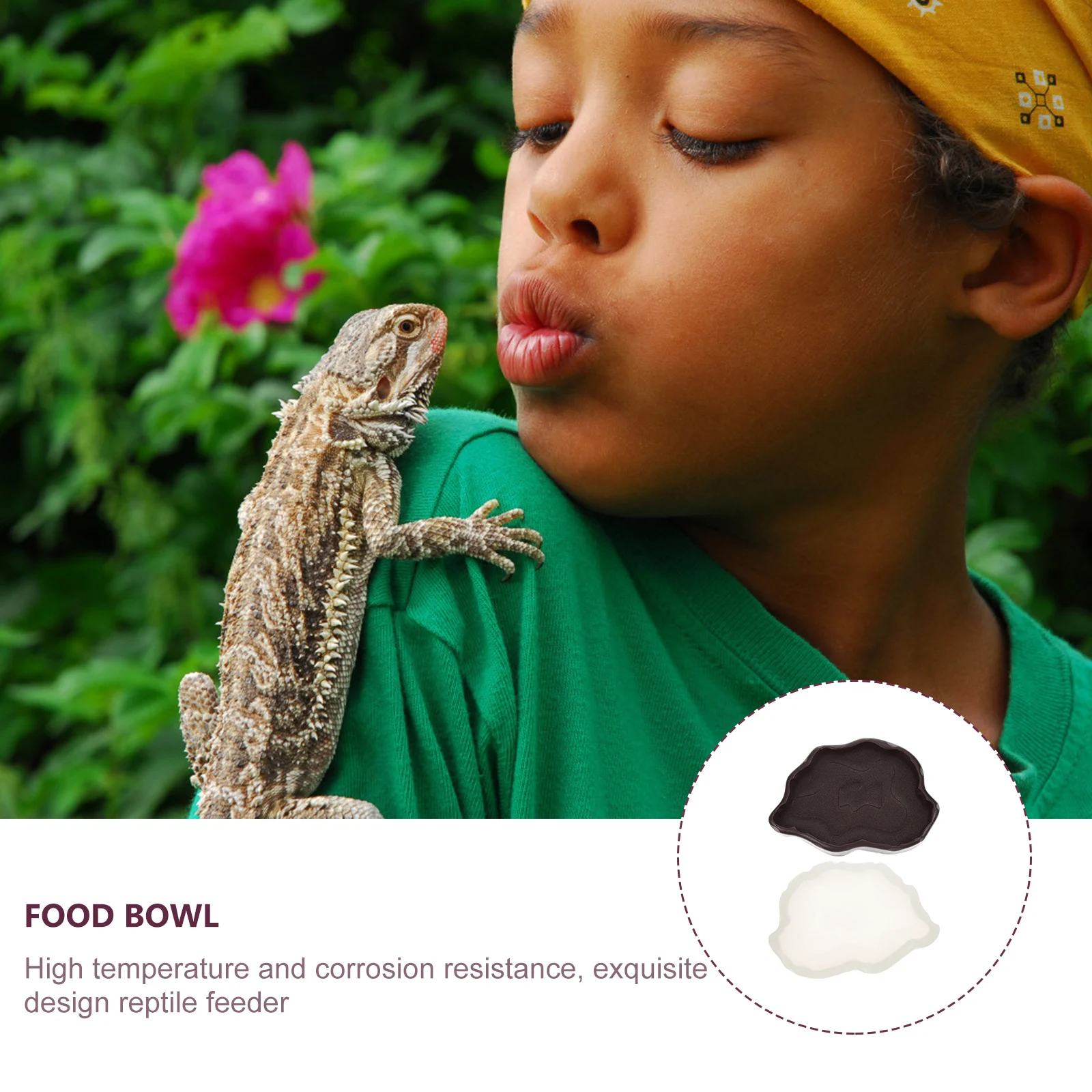 

2Pcs Reptile Water Feeders Heavy Duty Pet Drinking Bowl for Lizards Turtles Snakes Feeding Container with Wide Base Non Tip Over