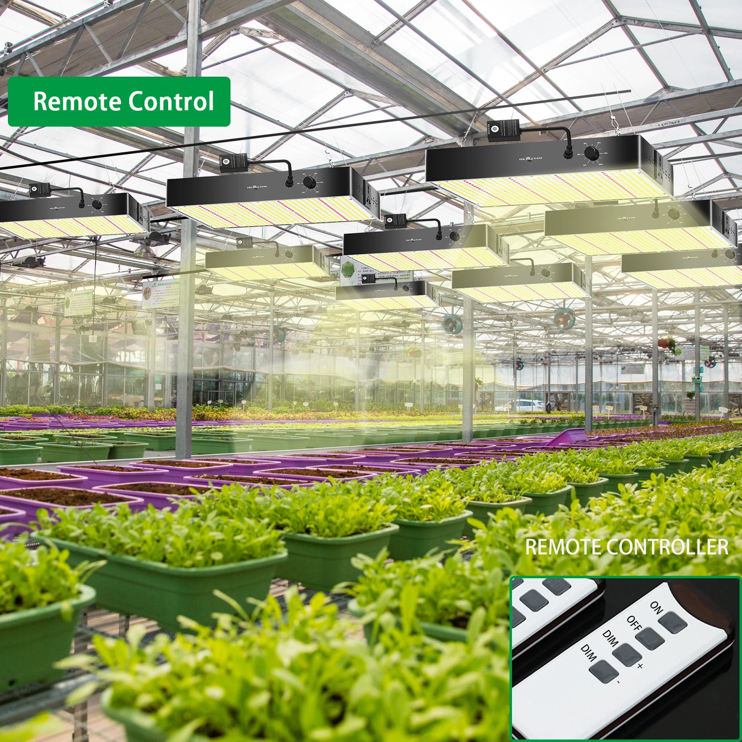 Remote control 200W 300W LED Grow Light with Full Spectrum LED Plants Lamp for Indoor Greenhouse Grow Box