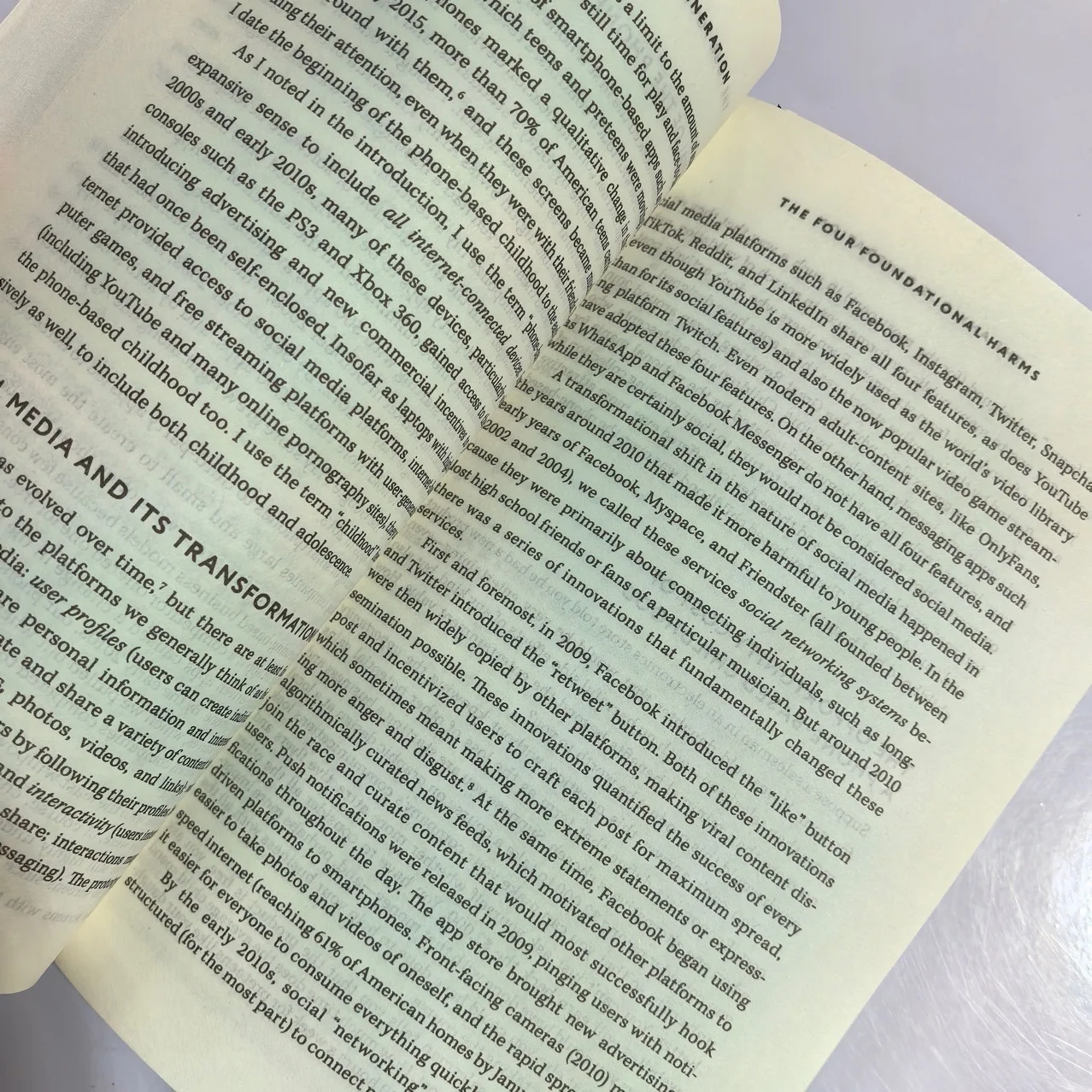 Bview Art The Anxious Generation Handbook: Beat Digital Stress & Boost Mental Health