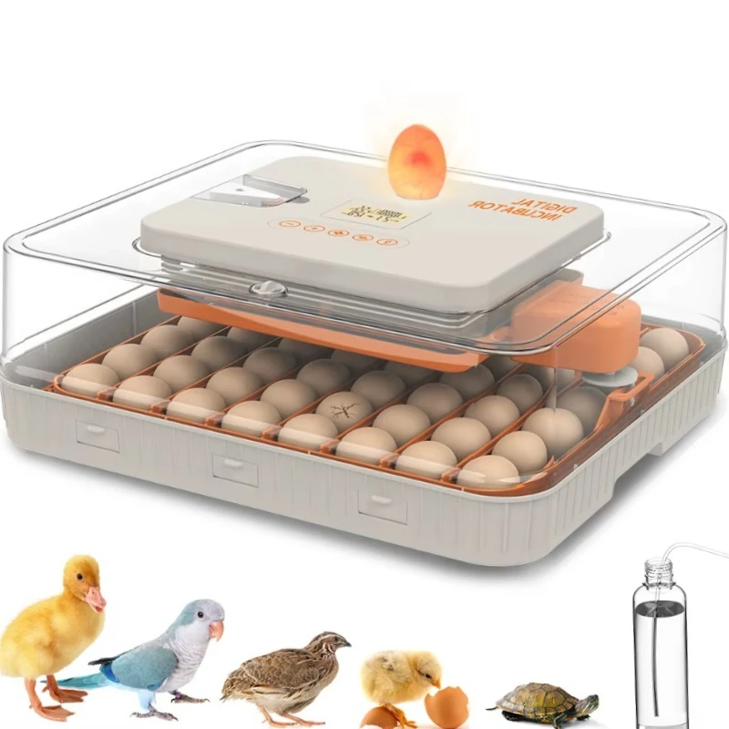 

HHD 56H Fully Automated Chicken Constant-temperature Incubator Motor Egg Turning System