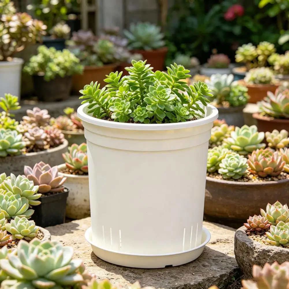 Rose Flower Pot with Tray Pothos Planter with Saucer Ventilated Flowerpot with Drainage Holes Indoor Outdoor Plant Pot for Roses