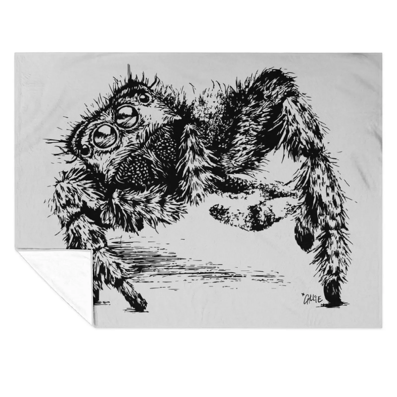 

Jumping Spider Encounter Throw Blanket Decoratives Kid'S Beach Loose Blankets