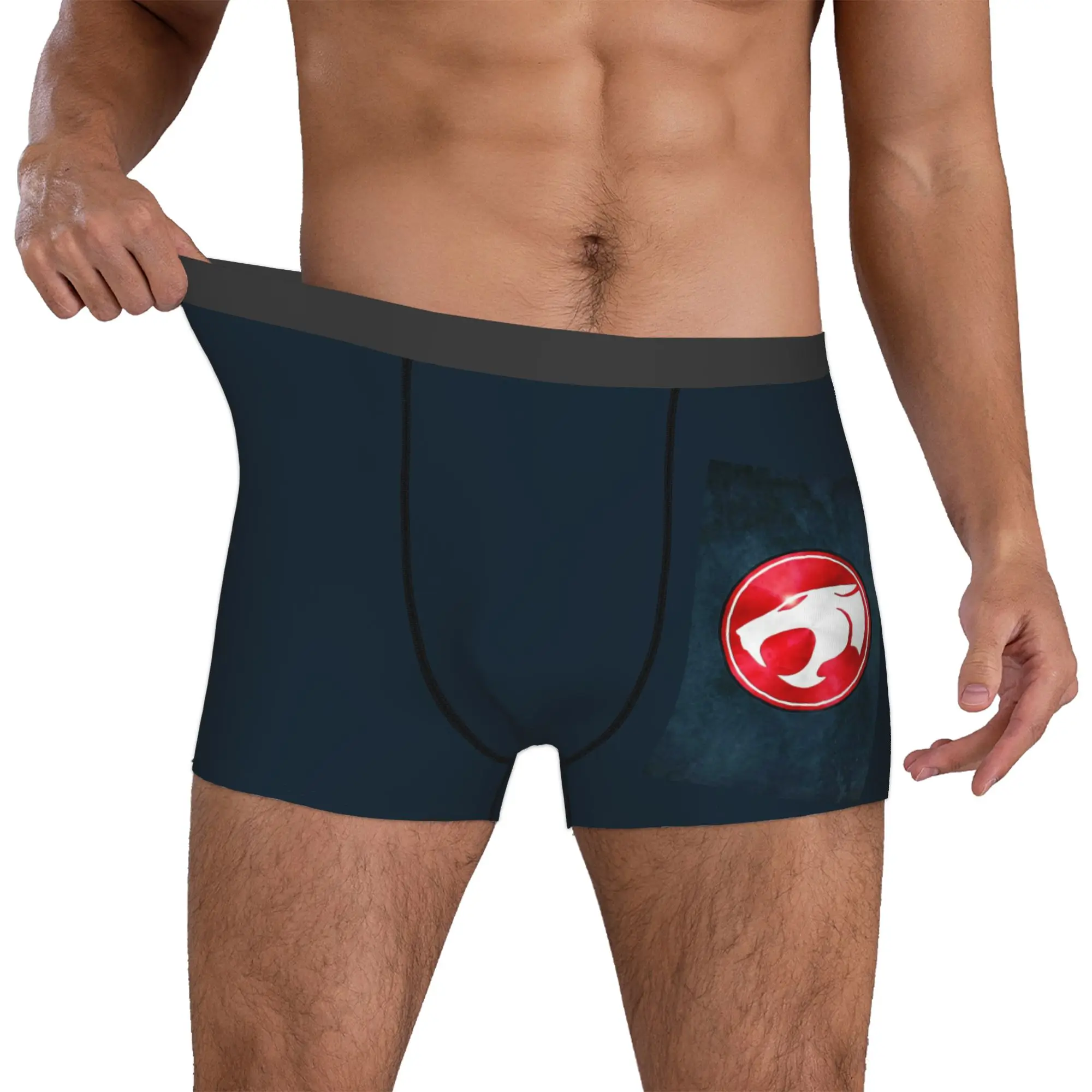 Custom Anime   Thundercats  Boxers Shorts Mens HiMan Tygra Briefs Underwear Funny Underpants