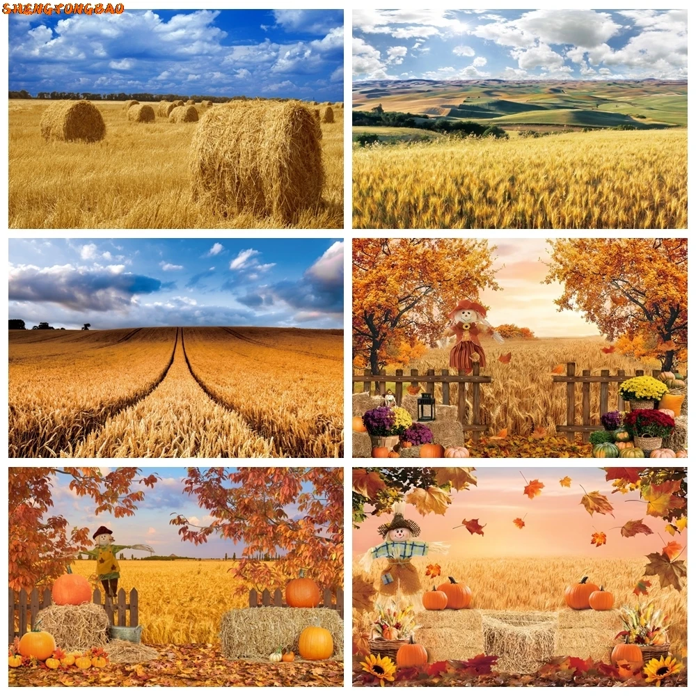 

Autumn Photography Backdrop Rural Wheat Fields Farm Barn Harvest Pumpkin Haystack Thanksgiving Baby Portrait Photo Background