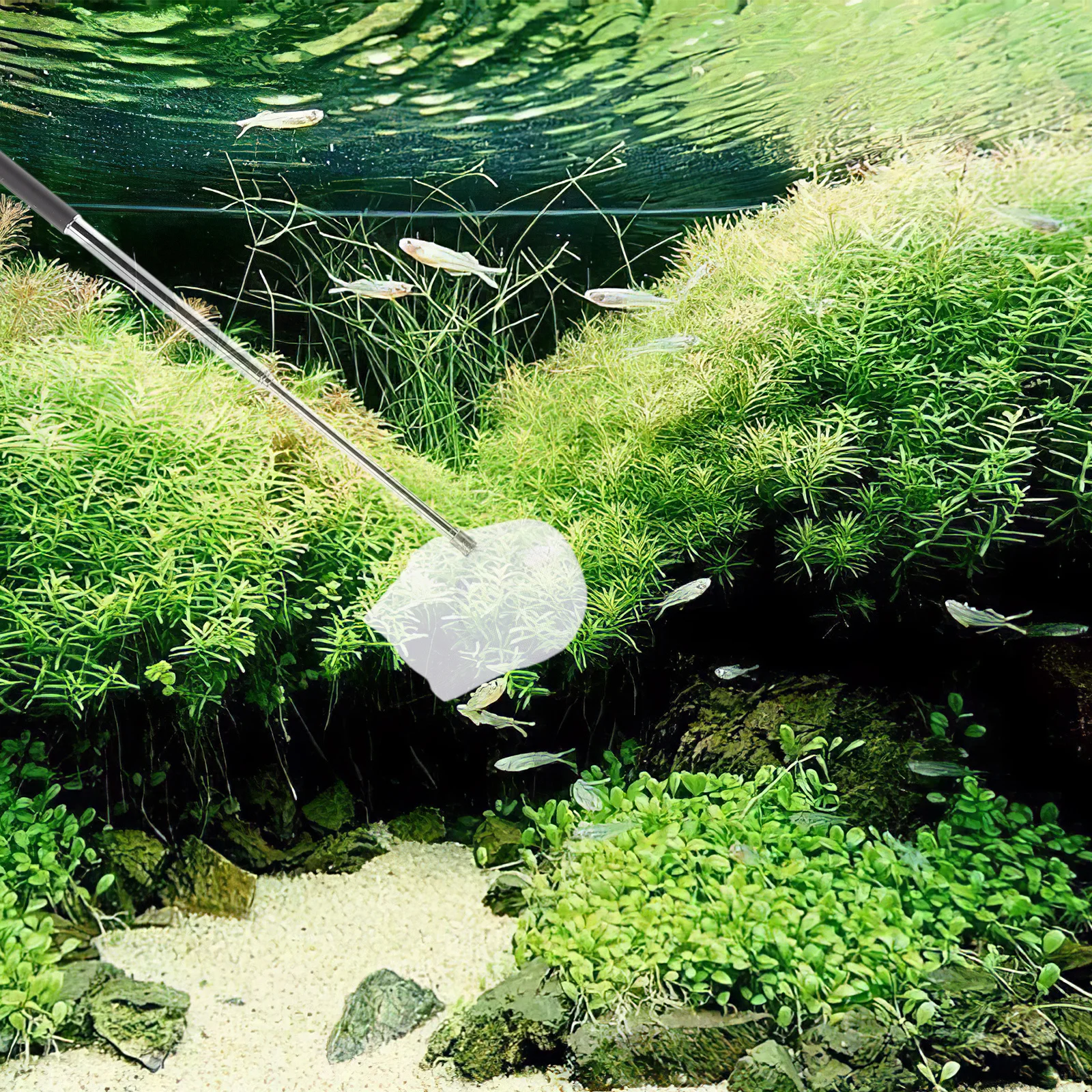 

Shrimp For Aquarium Fine Mesh Retractable Fish Tank Small Fish Catching Tool Brine Shrimp Net Aquarium Skimming Net