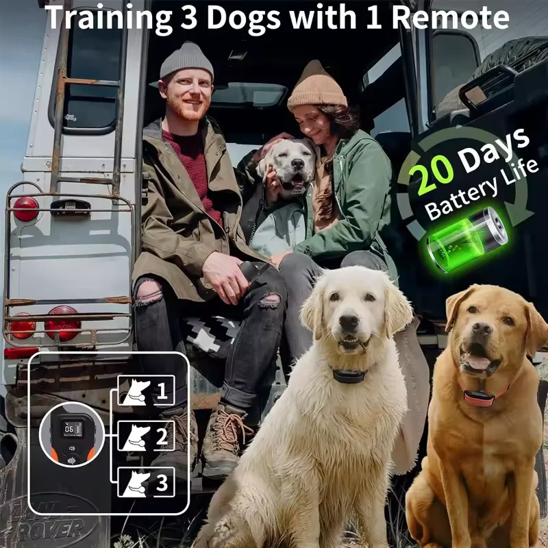 Thumbnail 4 - #33 Top 50 Dog Training