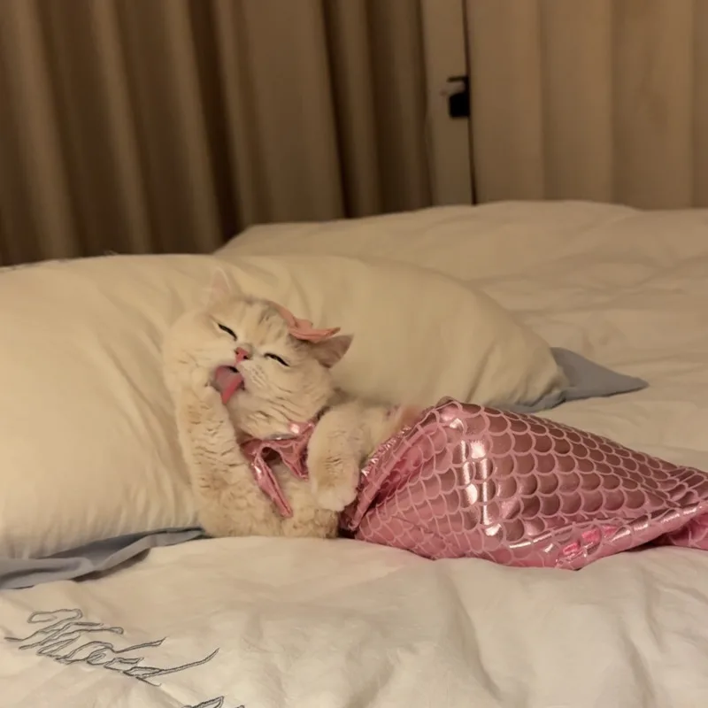 人魚の形をしたペットの服,猫の服,写真アクセサリー,かわいいビキニ,犬,楽しい装飾,クリスマスプレゼント,スカート,夏