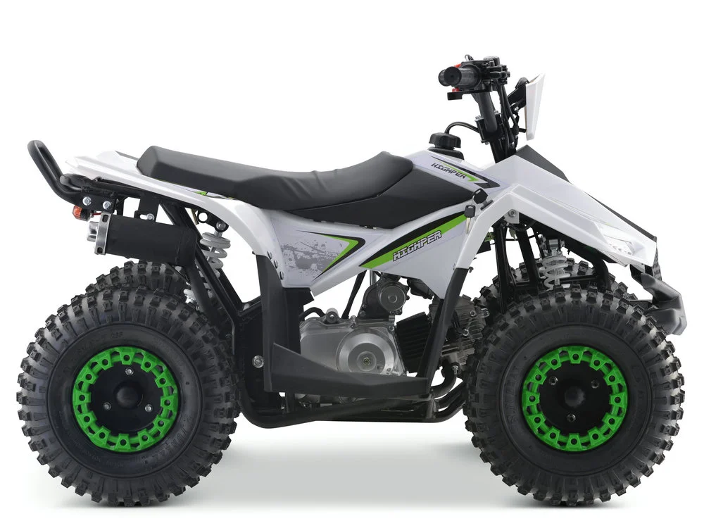Wanyang 110cc Off-Road ATV Quad Electric 4-Stroke Engine Power For Kids Automatic Chain Drive