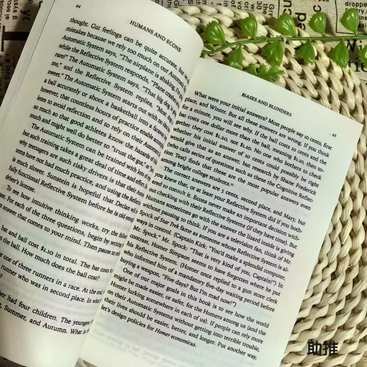How Economics Changes Decision-making Processes Through Subtle Hints Leading Social Progress and Personal Growth