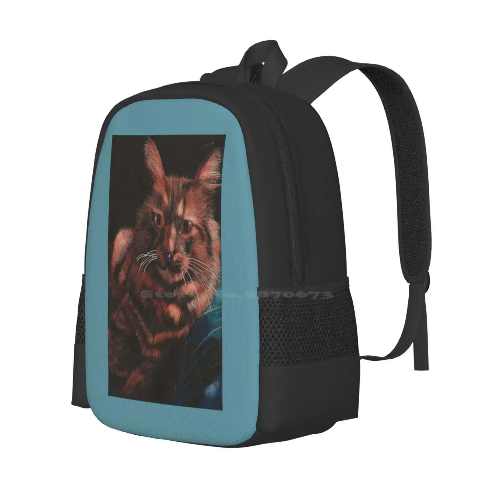 البرتقال هريرة حار بيع المدرسية على ظهره حقائب الموضة هريرة القط البرتقال Longhair لطيف خدش الحيوان الحيوانات الأليفة #2