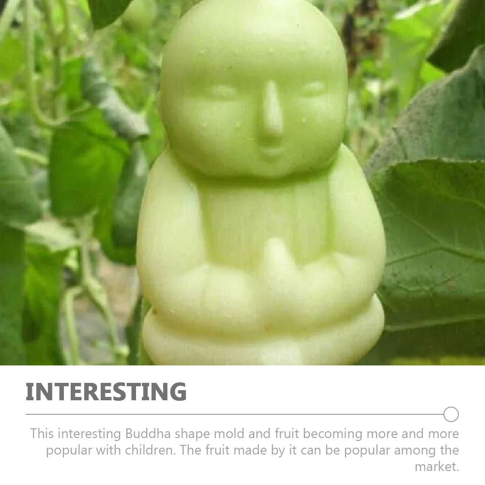 

2Pcs Buddha Mold 10cm Clear PC Fruit Growing Melon Mold Transparent Shaping Tool Practical Gardening Fun Accessory