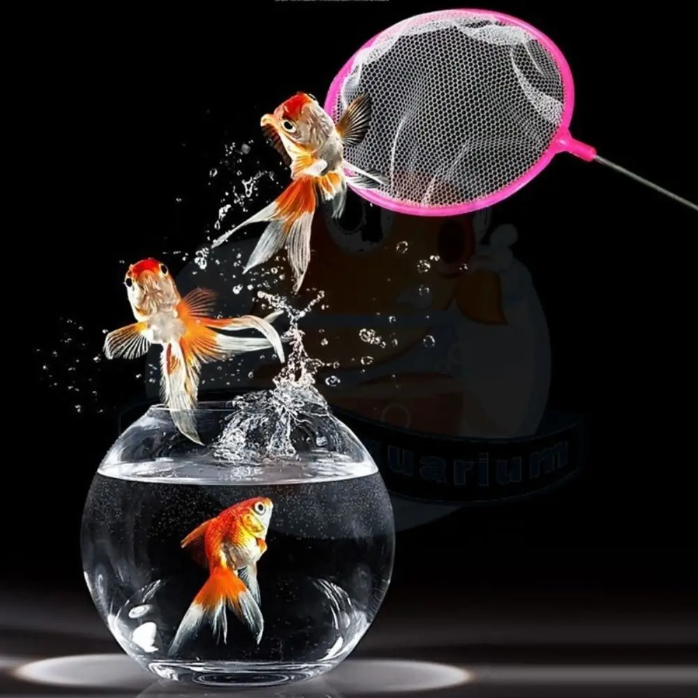 New Plastic Tiny Fish Tank Net Soft Food Residue Debris Fine Net Mesh Random Color Skimming Net Small Ponds