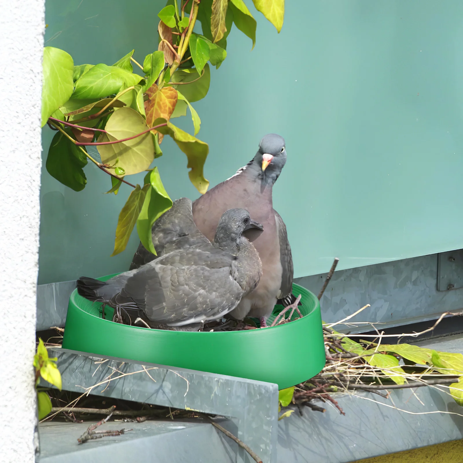 

10 Pcs Nest Egg Basin Durable Washable Parrot Pigeon Supplies Safe High Quality Ideal for Home Farm Pet Supplies