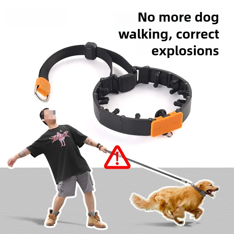 #43 Latest Dog Training Collars Offers