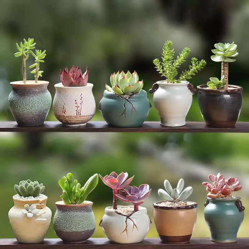 Succulent Flower Pot Ceramic Gardening Ceramic Mini New Product Creative Crude Pottery Retro Home New Porcelain Pot Basin