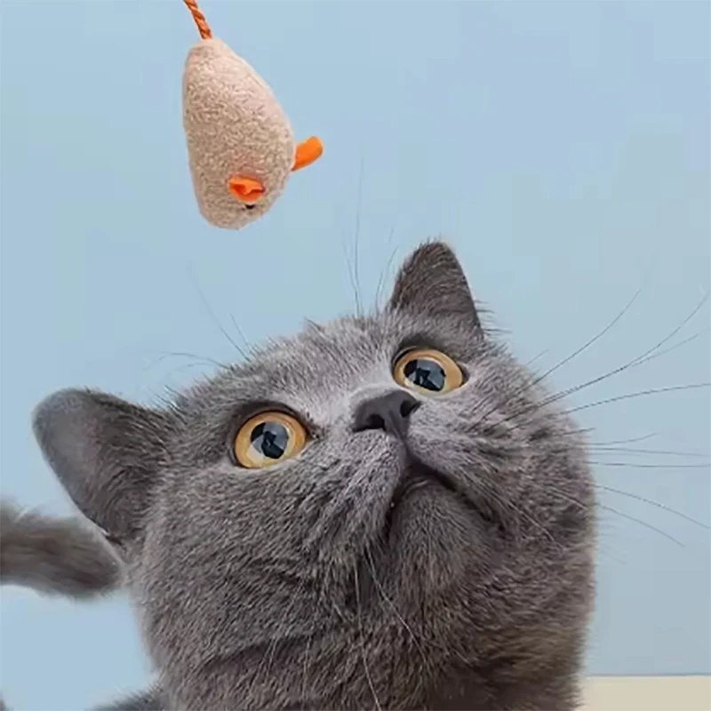 3/6/12 قطعة من لعبة محشوة الفأرة القطيفة المقلدة لعبة قطط قطنية متينة ومقاومة للخدش مناسبة للعب القطط مع
