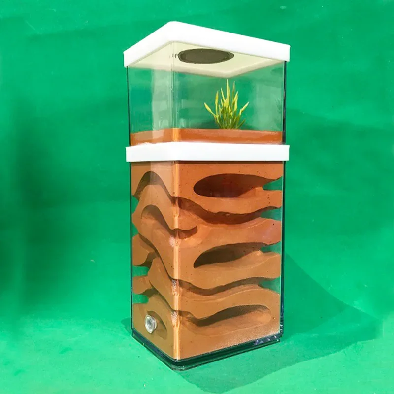 Plaster Ant Farm High Moisture Insect Hotel Castle Ecological Ant Nest Pet Anthill Workshop Ant House Village with Feeding Area