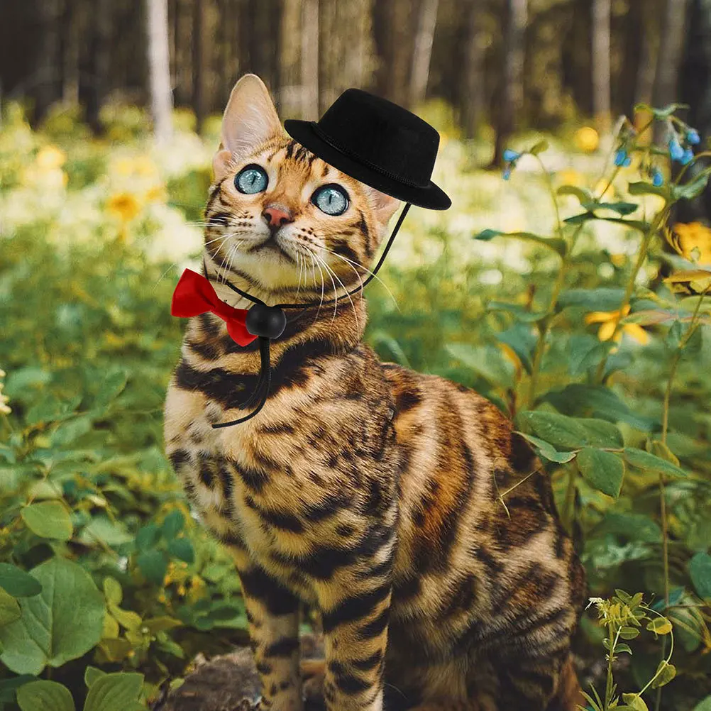 

3Pcs Pet Hat Bowtie Set Decorative Small Animal Costume Adjustable Neck Wrap Hamster Guinea Pig Chinchilla Hedgehog Party