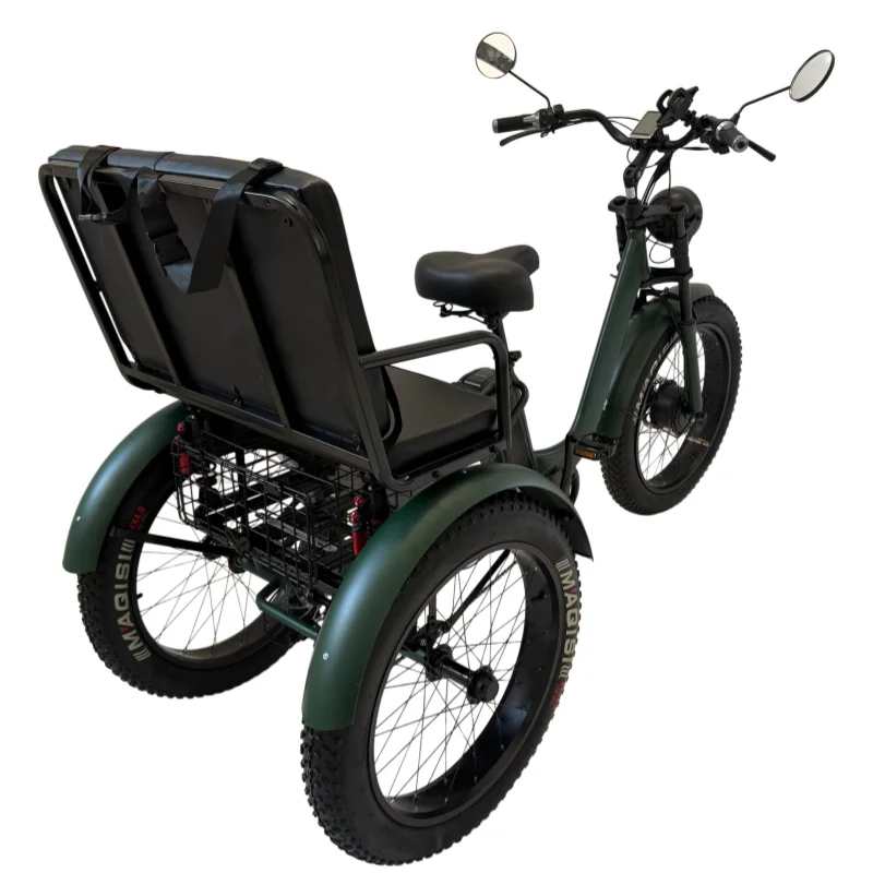24-Zoll-Elektrofahrrad mit 3 Rädern, Fat Tire, mit Beifahrersitz und Korb, 750W 48V, Offroad-Elektrodreirad, zwei Sitze für die Familie