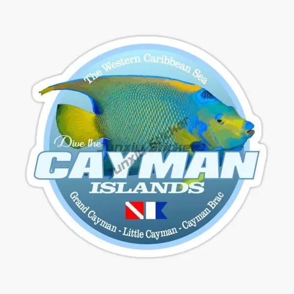 Scuba Diving CERTIFD DIVER CAVE DIVING Car Sticker Decorative Vinyl Waterproof Self-adhesive Decal DIY Laptop Accessories Decal