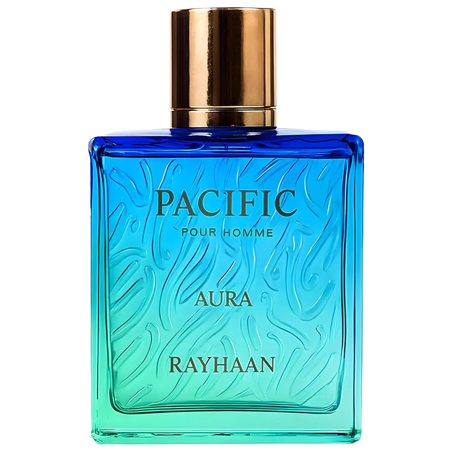 

Rayhaan Pacific Aura 3.4oz 100ml Men's Eau de Parfum Spray, Basil Rose Carrot Seed Fig Amber Ambroxan Long-Lasting Fragrance