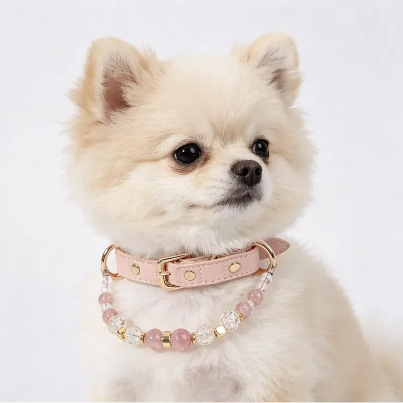 Cross-border new pet crystal collar natural powder crystal healing crystal pet dog collar jewelry necklace spot