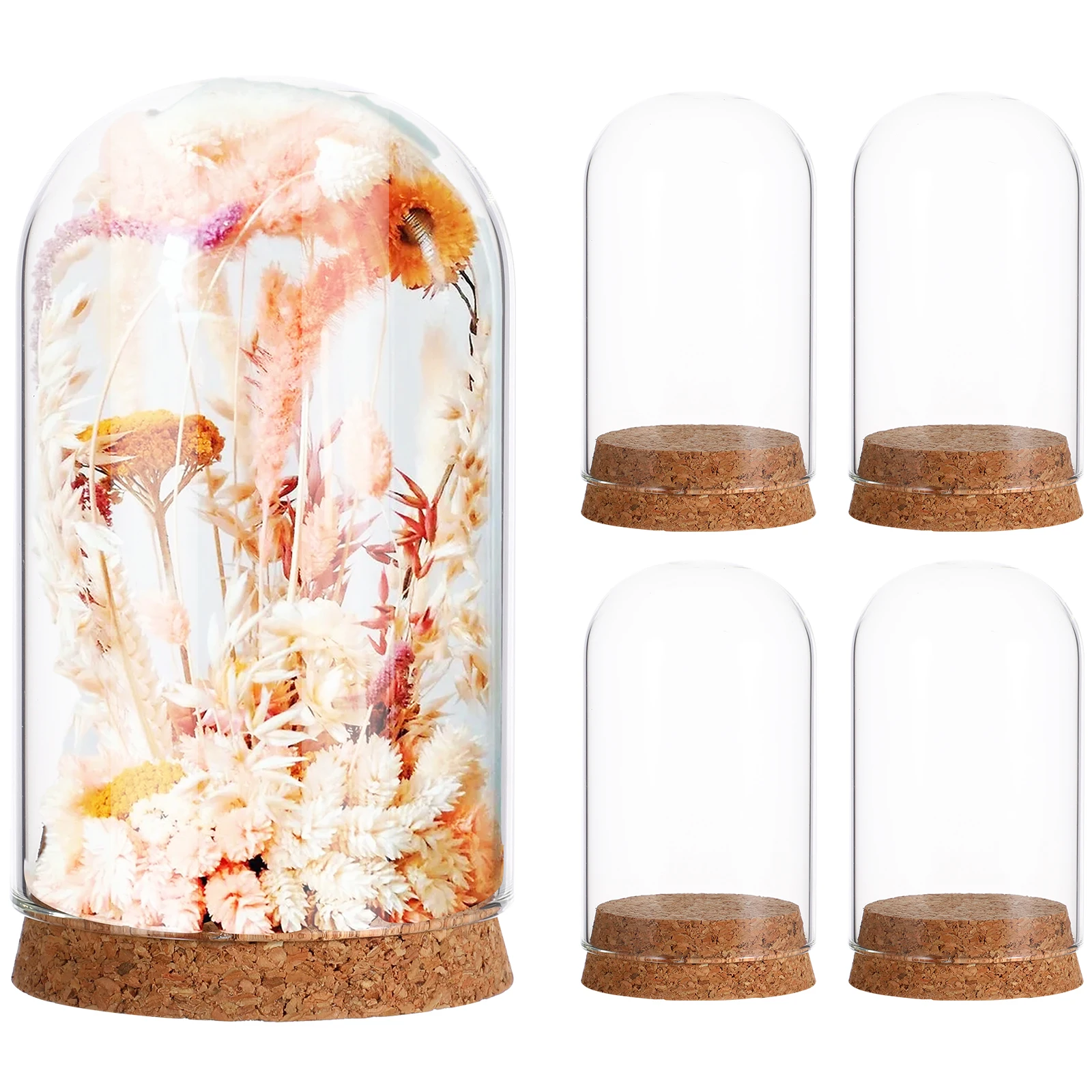 

5Pcs Clear Glass Dome With Cork Base Eternal Flower Cover For Decor Glass Display Case Figurines Miniatures Decorative
