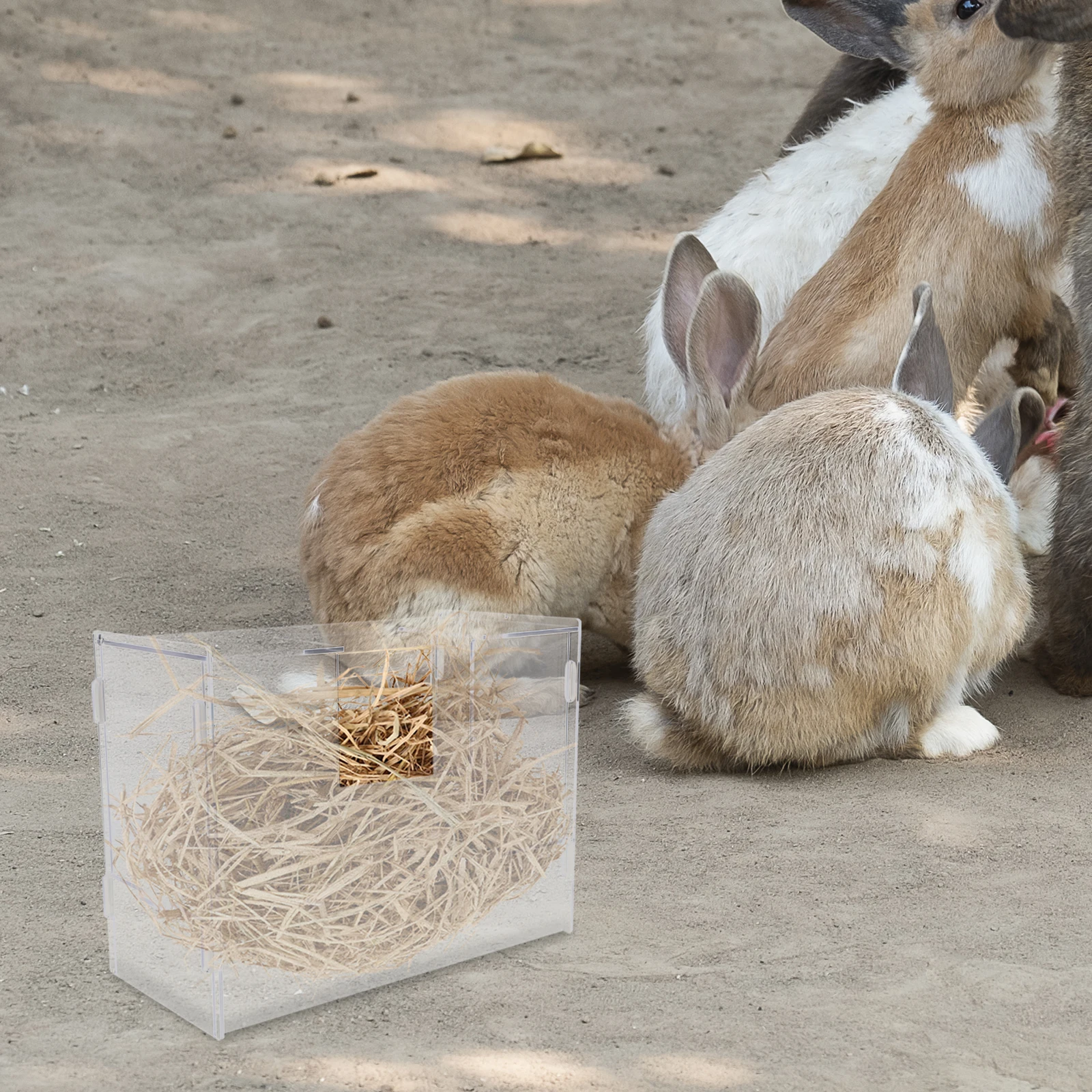 

Large Capacity Acrylic Feed Groove Durable Bunny Feeder Hanging Holder For Rabbits Hamsters Integrated Toilet Design Easy Clean