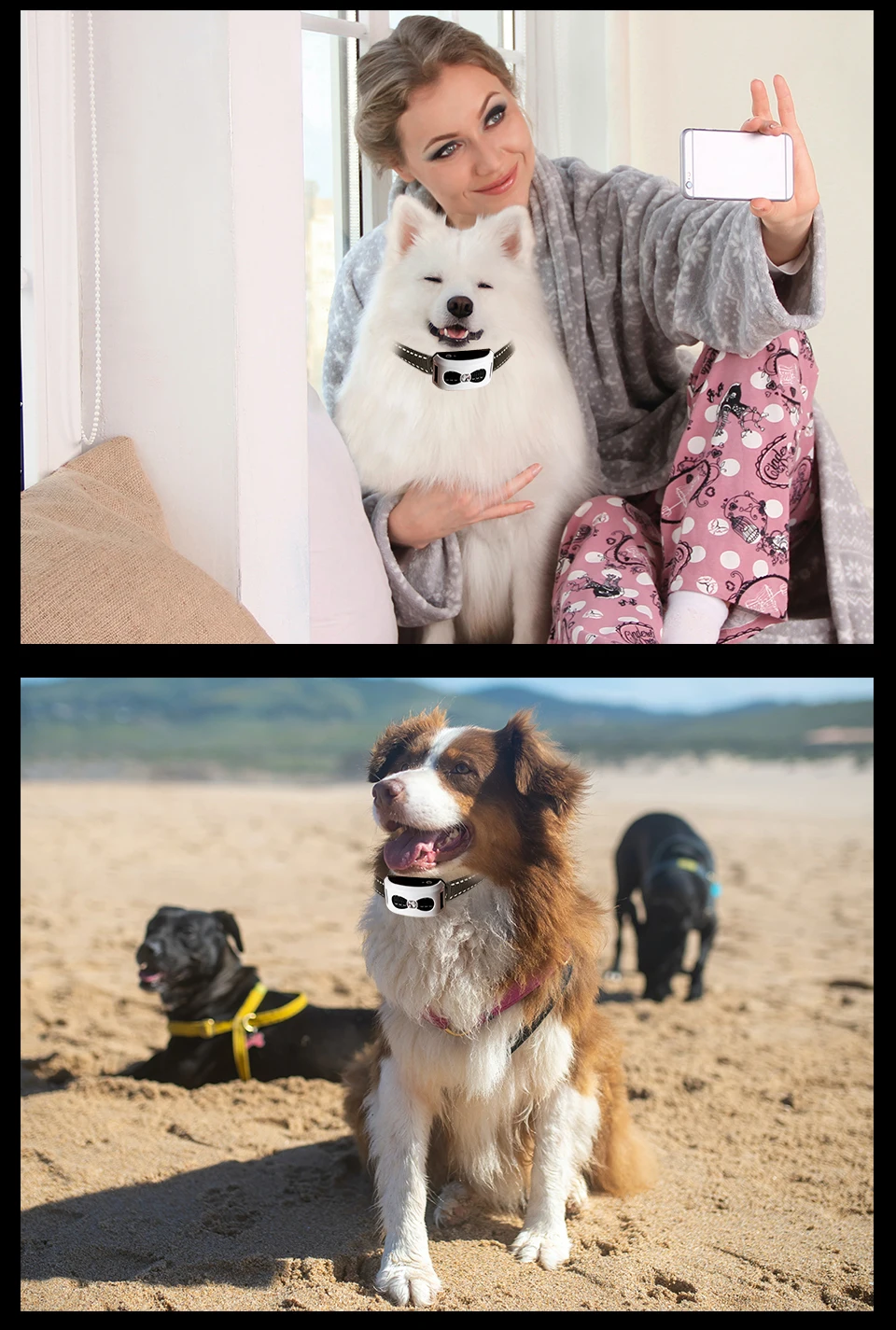2-in-1 kabelloses elektronisches Hundezaunsystem und ferngesteuertes Trainingshalsband, Beep-Stoß-Vibration und Haustierunterhaltung für Welpen aller Größen – Detail 19