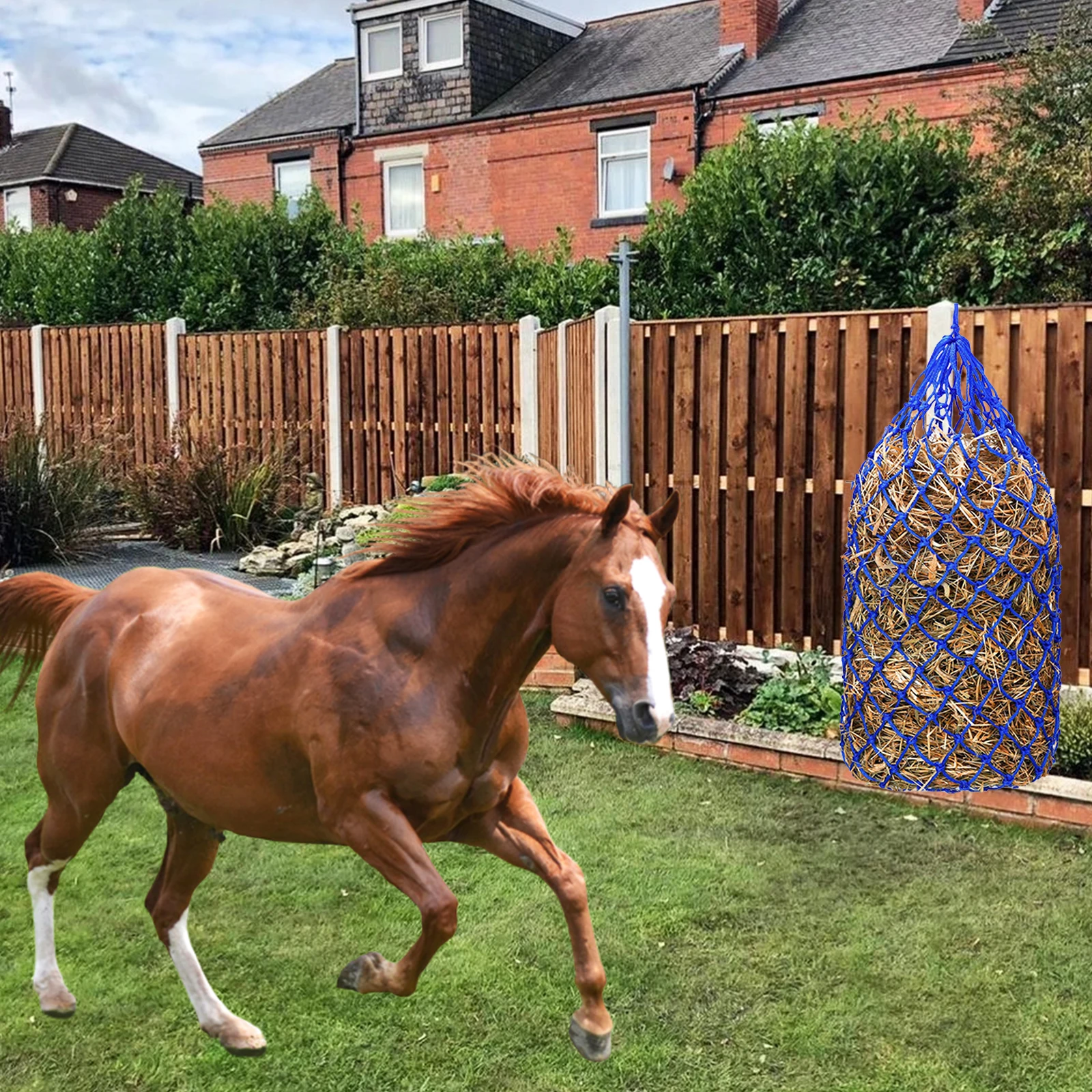 1 قطعة شبكة القش للخيول تغذية بطيئة القش حقيبة للخيول الماعز الأغنام معلقة القش المغذية حقيبة للخيول كشك مستقر Paddock تغذية