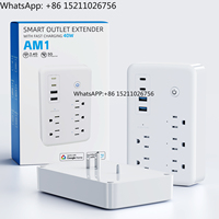 AM Hot Sales Gosund US Standard Wifi Smart Socket Tuya Smart Life Google Home Alexa Mini Smart Plug 10A Rated Current