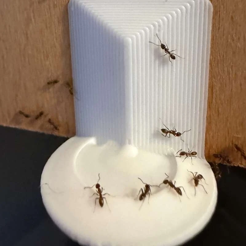 Liquid Ant Bait Trap Station for Indoor Home Pest Control Killer Insect Catcher Elimination Tool