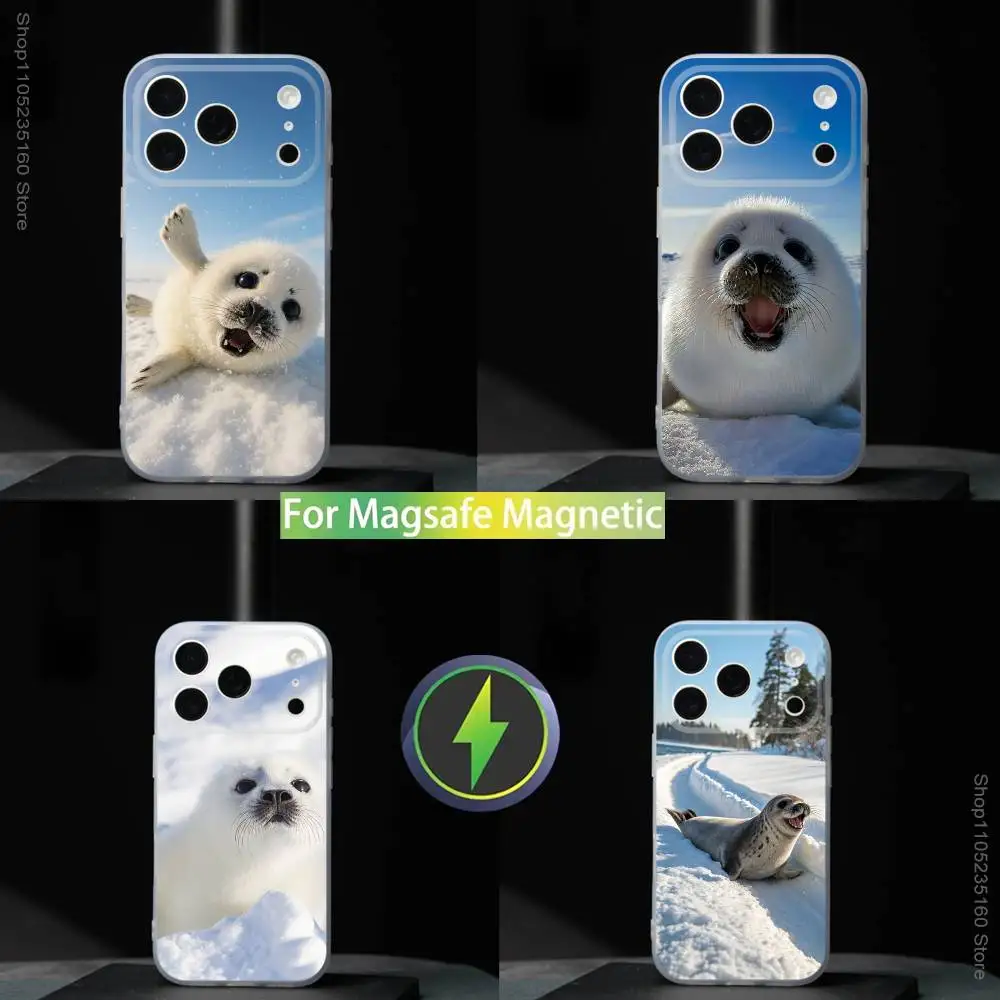 

S-Seal Animal Cute Phone Case For iPhone 17,16,15,14,13,12,11,Pro,Max,Plus,Mini,SE4,E For Magsafe Wireless