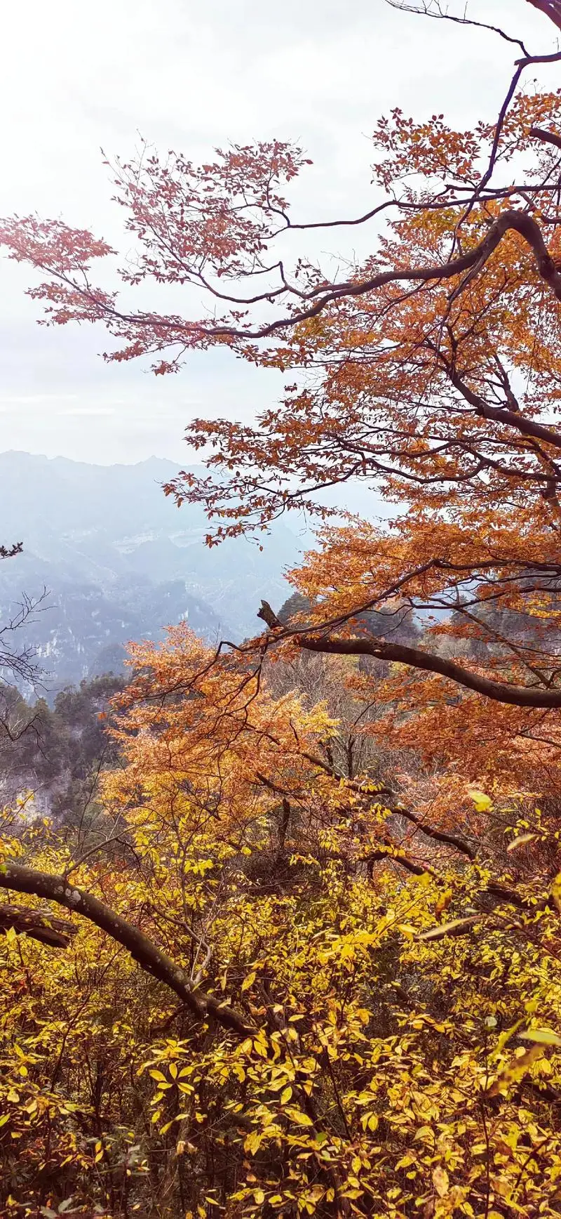 

400ML Copper Plated Mug Durable Coppery Beer Mugs Coffee Mug Milk Cup Copper Cocktail Whiskey Glass Drinkware Cocktail Tool