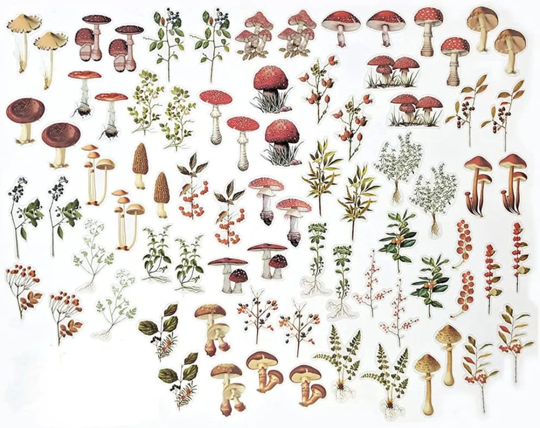 Mushrooms Plant Stickers Set(80 PCS) PET Transparent Vintage Nature  for Scrapbooking Planner Journaling DIY Crafts