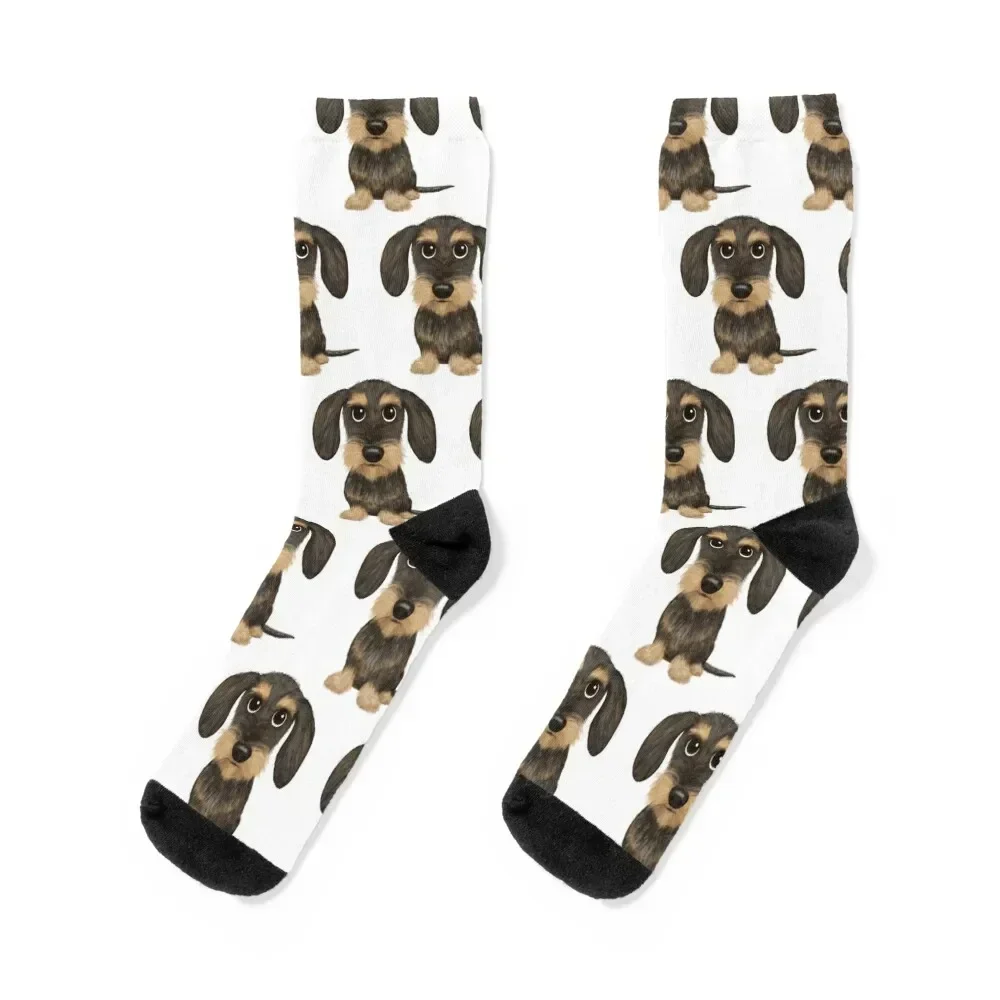 

Wirehaired Dachshund Cute Wire Haired Wiener Dog Wild Boar and Tan Teckel Socks custom Running hockey Socks Male Women's