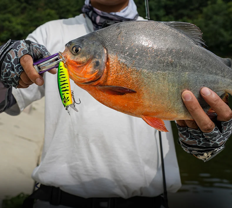 KINGDOM Micro Fish Scales Series Angelköder 45mm 55mm 65mm Crankbait Minnow Köder Schwimmender Sinkender Hartköder für Barsch- und Hechtangeln – Detail 4