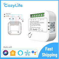 2 Gang Mini Smart Switch Module,Support Apple HomeKit Siri Alexa,WiFi Wireless Timer Breaker 2 Way Control,Neutral Wire Required