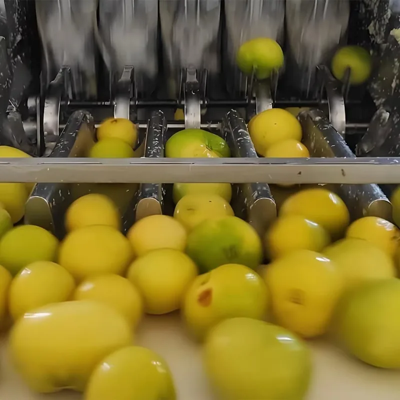 10-100 Tons Per Day Automatic Lemon Concentrate Juice Production Line Beverage Processing Production Line