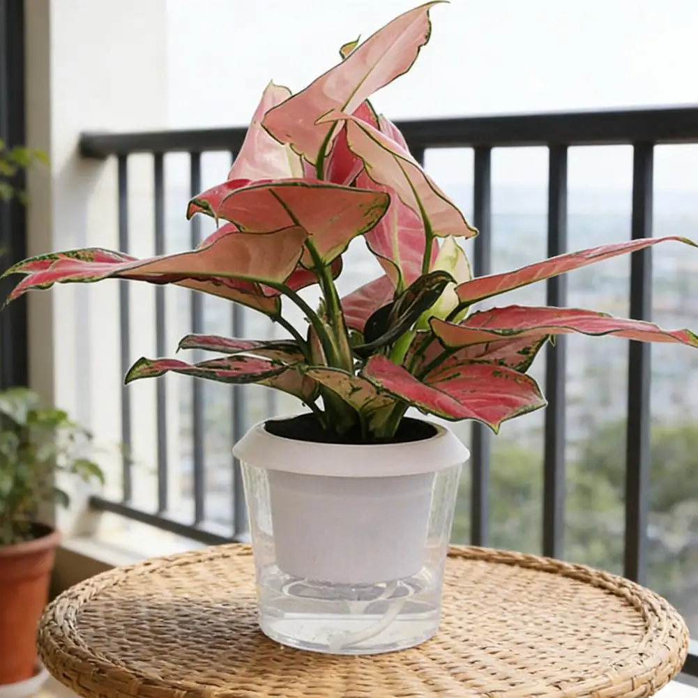 Self Watering Plant Pots with Reservoir Clear Plastic Round Flower Pot with Ropes for Succulents Herbs Flowers Home Decor