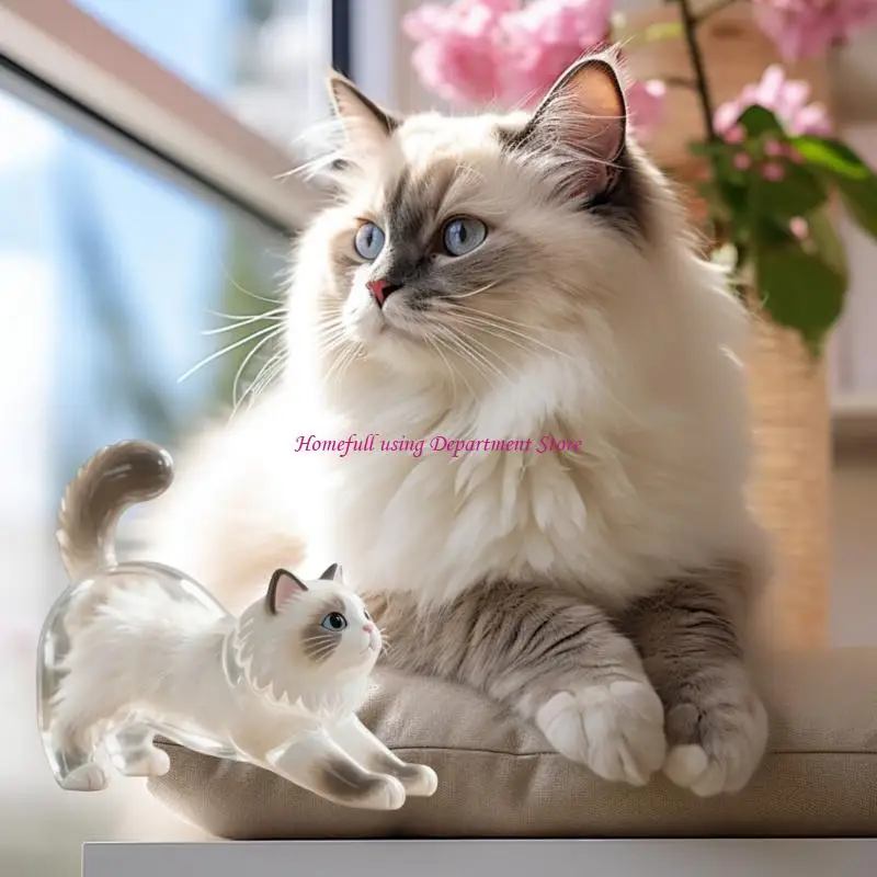 

Pet Furs Keepsakes Container Box With Siamese Ragdoll Design Miniature Art