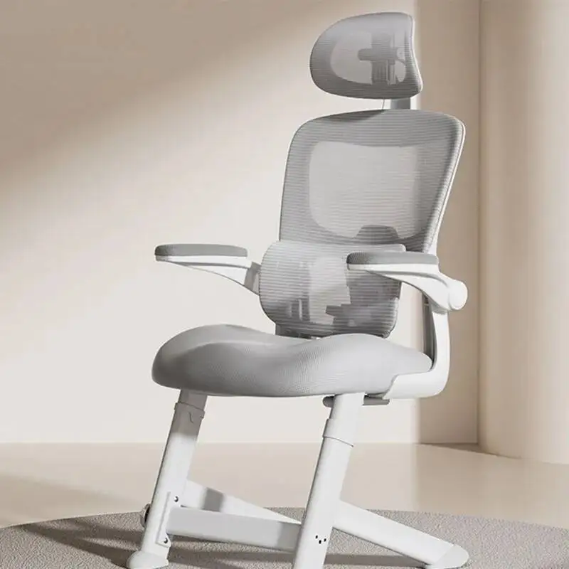 

Lazy Study Office Chair Nordic Computer Cute Comfortable Executive Swivel Office Chair Relaxing Silla Oficina Library Furniture