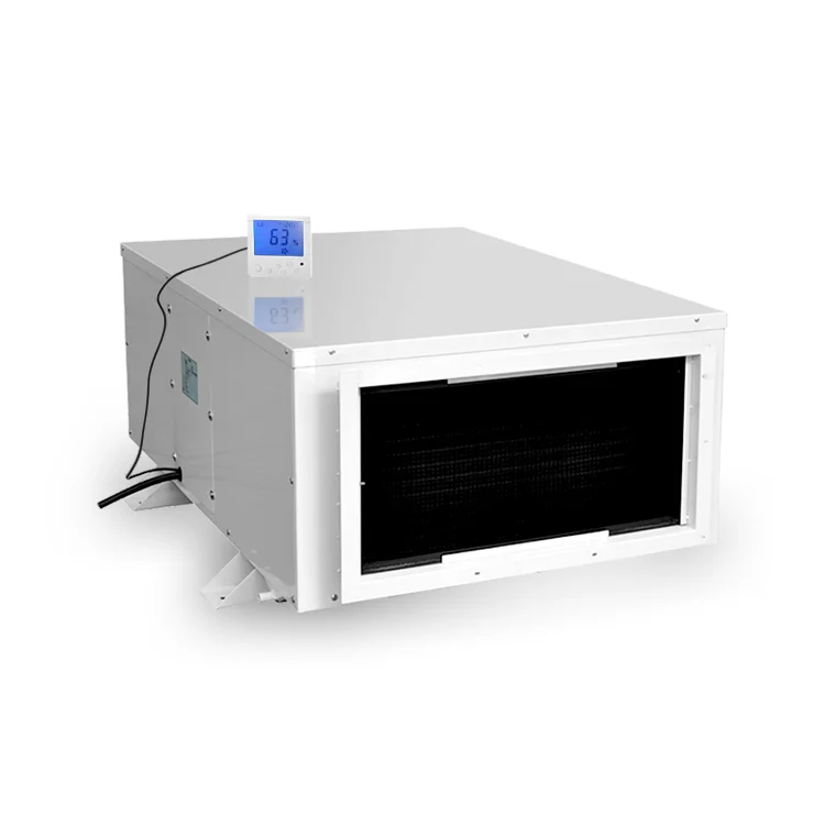 DJDD-2481E 240L/D High-Efficient Ceiling  Dehumidifier Industrial for Greenhouse/Garge Mall Hotel Villa Use Customizable