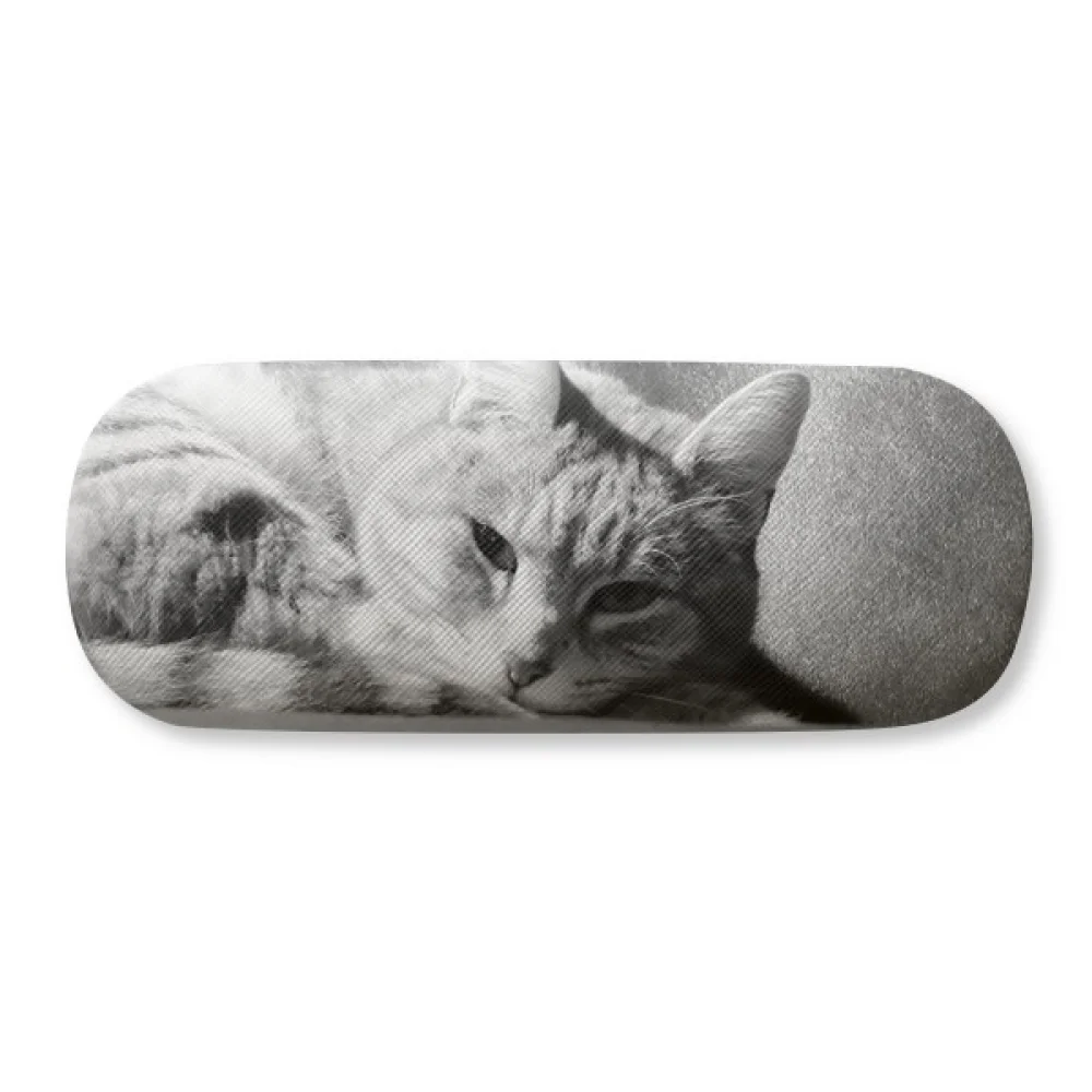 

Animal Pure Gray Cat Photograph Picture Glasses Case Eyeglasses Hard Shell Storage Spectacle Box